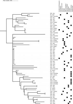 High Prevalence of USA300 Among Clinical Isolates of Methicillin-Resistant Staphylococcus aureus on St. Kitts and Nevis, West Indies